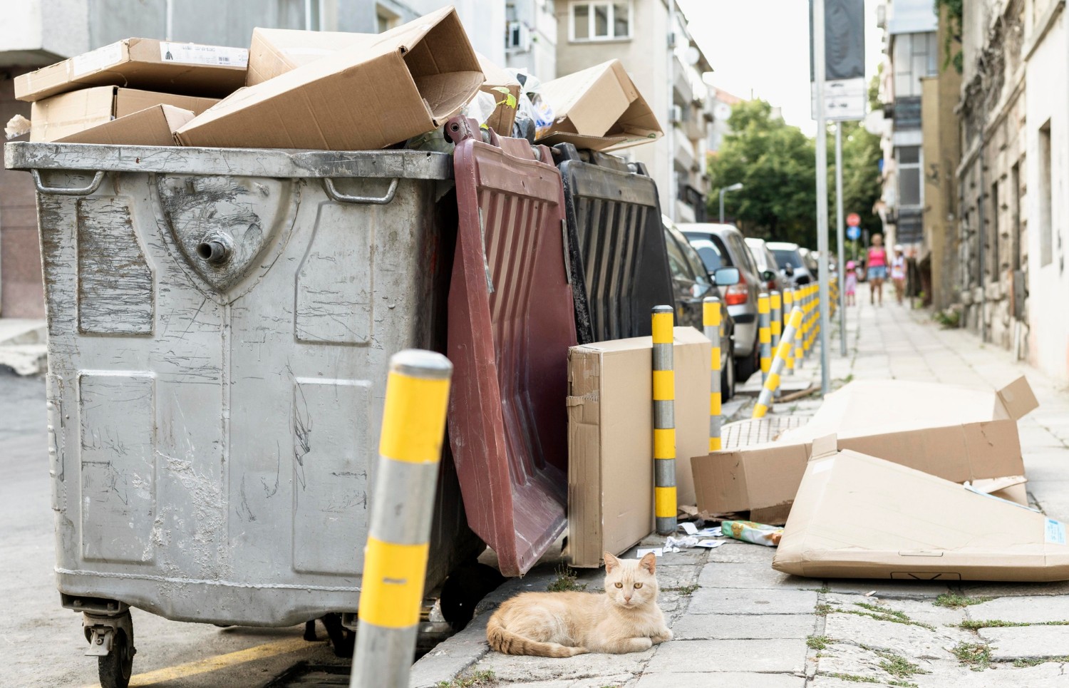 Removing Unwanted Junk