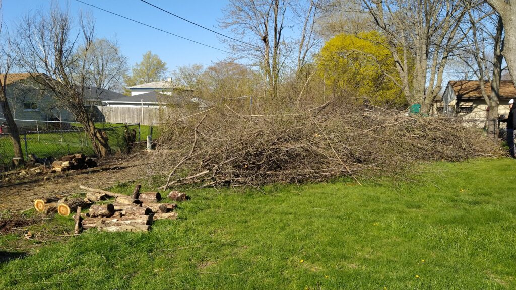 Yard Waste Removal